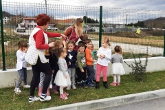 IMG-a3d8f6181ec2b879b84e6206333f42d0-V