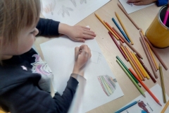 IMG-dc5b25a8273e556e333b3c75e4080bab-V