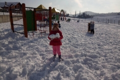 IMG-9bba40c803bf0472c049eaba43f6ae12-V