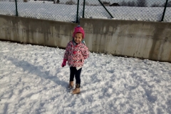 IMG-ddbfc468be5bbc37c77b90f19a307efd-V