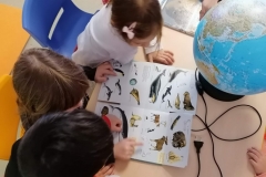 globus-i-knjige-o-polarnim-zivotinjama