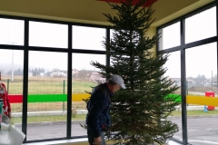 dolazak-božićnog-drvca