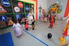 IMG-6a2263d75a04c8cab36462a085222208-V