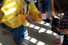 viber_image_2021-11-26_10-23-56-485