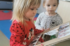 IMG-2a67a483f4455d16285499c0bf45ef23-V