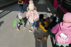 IMG-87dd0a3ec2a9bf77a28dd55c5f7b0ff2-V