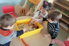 IMG-a54f4d9601173728be1cd5eb460dba62-V