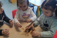 IMG-2cead56ec9074f99bc8931d1dc222e78-V