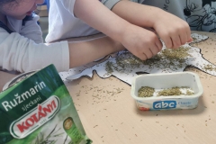 IMG-71cd55cff4c126fab17611bbb6e595ba-V