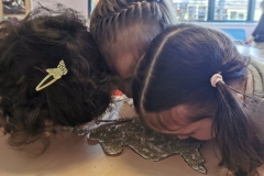 IMG-7df7a1df1d8385f66b4071e05abd39e2-V