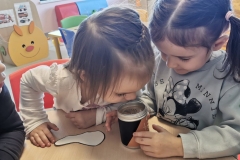 IMG-dce7194c3c53bb5c2248445ee0650706-V