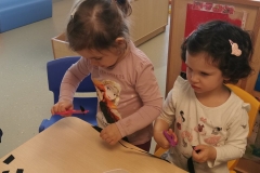 IMG-0f52f6daba368fba4bf505caa5dcb264-V