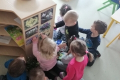 IMG-5b3c1bc8a62e12ab62d9efcfb3ef8365-V