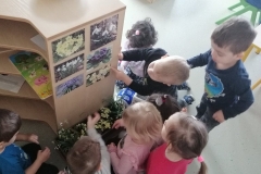 IMG-d5eafdb697dc4dda0bca8378adc66cde-V