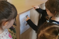 IMG-361b3d9ac59da6f9776d41290d6c5d7a-V