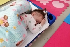 IMG-40d602b6c36515c5d6290cef37bc1390-V