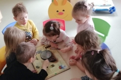 IMG-1345dde8efcf7dc932a4dc77393121e2-V