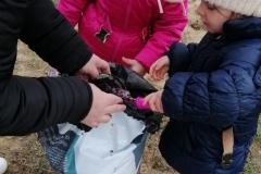 IMG-e1046a076f7d6be8843c75b08ca3223a-V