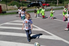 IMG-952ba7d55c12b43fc44f909f8369ce0a-V