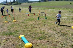 IMG-b1e296d2af5e8325c5136a5e9d1bd3bb-V