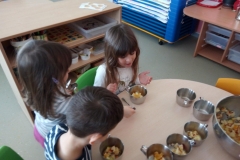 IMG-eccb1de47b130eca6f0551c840353b04-V