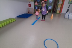 IMG-224702fe1b322e736bd5e8817e378b65-V