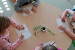 likovnii-vjesnici-proljeca