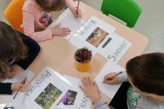 pocetno-citanje-i-pisanje-proljece