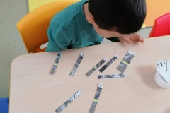 puzzle-cip