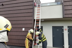 IMG-3f869564d070cf48d16c8415dd55a586-V