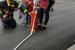 IMG-bada9191eb5ccd9827a02db5d91d96f1-V